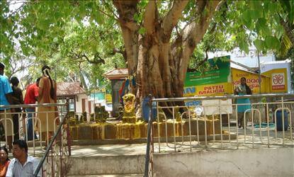நாக தோஷத்தை நீக்கும் நாகராஜர் 